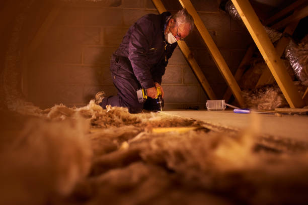 Best Basement Insulation  in North East, MD